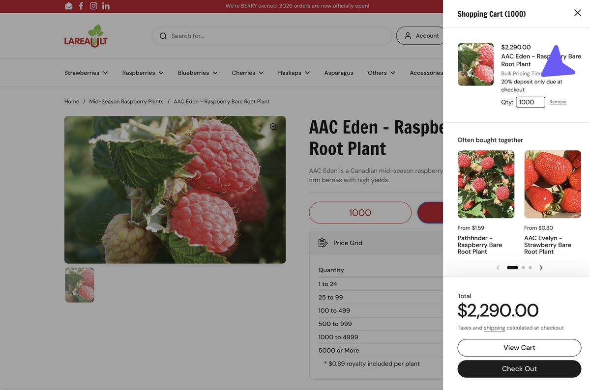 Brand Lookbook – Downpay Demo Store